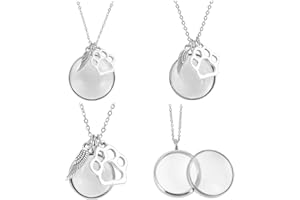 DELORIGIN 3Pcs Pet Hair Memorial Necklace Stainless Steel Fur Ashes Keepsake Necklace Clear Glass Locket Necklaces with Wing 