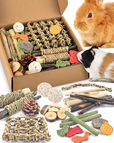 Bissap Rabbit Chew Toy Box