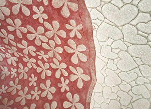 Exotic Elegance 2 Sheet Gift Wrap Valentine's Matched Design Floral / Heart Embossed and Transparent Mulberry Paper Pink White.