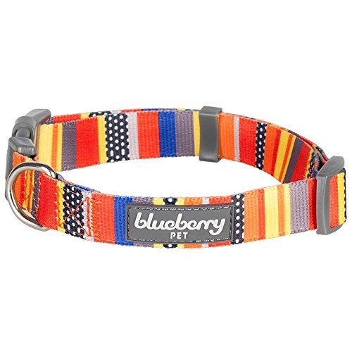 Blueberry-Pet-Basic-Polyester-Nylon-Collar-Lead-Harness-for-Dog