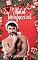 Livro Um Natal Inesquecível