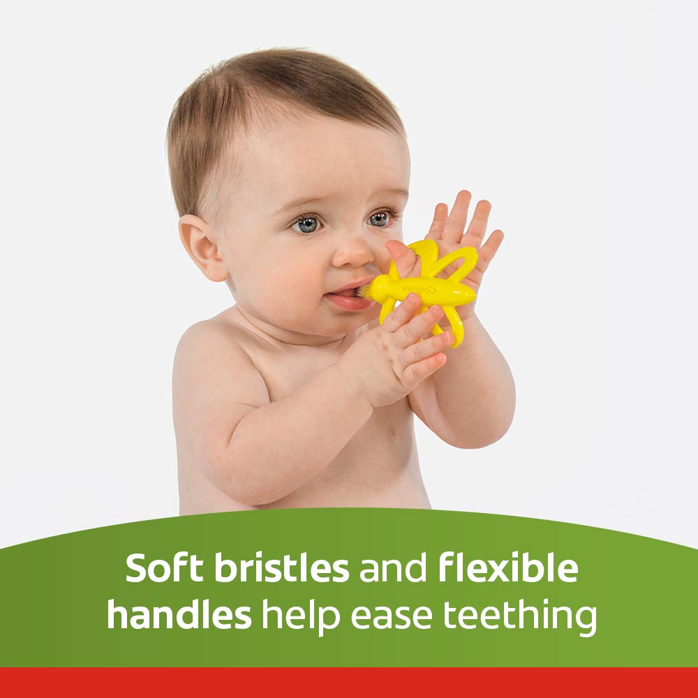 Colgate Baby Toothbrush and Teether, BPA Free â€“1 Count (Pack of 2)