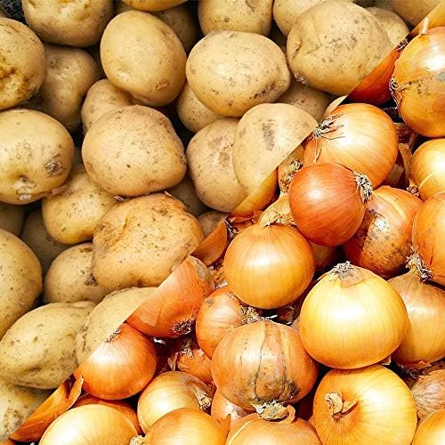 Amazon 北海道産 じゃがいも 男爵 北海道産 玉ねぎ 野菜セット 10kg 各5kg 化粧箱入り 送料 無料 ノーブランド品 野菜セット 通販