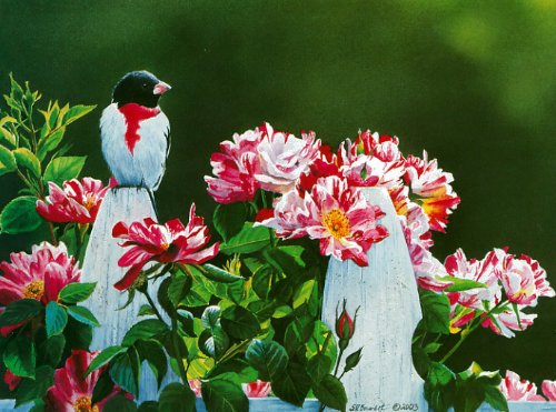 Susan Bourdet's Songbirds - Blank Card Set by Leanin' Tree (AST90634) - 20 cards with full-color interiors and 22 designed envelopes - Thumbnail 3