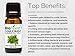 BioFinest Marjoram Oil - 100% Pure Marjoram Essential Oil - Premium Organic - Therapeutic Grade - Best For Aromatherapy - Antiseptic - Ease Stress/Anxiety - FREE E-Book (10ml)