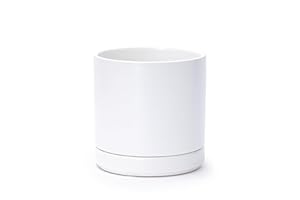 D'vine Dev 6.5 Inch Ceramic Planter Pot with Drainage Hole and Saucer, Indoor Cylinder Round Flower Pot, White, 94-O-C-1
