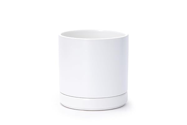 D'vine Dev 6.5 Inch Ceramic Planter Pot