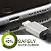 iPhone Charger, Everdigi 3Pack 10Foot Lightning Cable - 8 Pin Premium Nylon Braided Charging Cord Compatible with iPhone 7,7 Plus,6,6s,6 Plus,6s Plus,5,5s,5c,Se,iPad, iPod (GrayWhite)