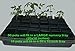 48 Transplant/Seedling Plastic Pots (3.25 Inch) and Transplant Tool (Bundle of 2) Total 49 Pieces