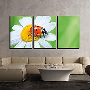 3 Piece Canvas Wall Art - Ladybug on Daisy in The Grass - Modern Home Art Stretched and Framed Ready to Hang - 16"x24"x3 Panels