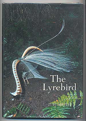 The Lyrebird