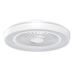 Modern Ceiling Fans with Lights - 19 inch Low