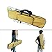 Uboway Outdoor Lamp Telescopic Fishing Rod Lamp with IR Remote for Camping, Fishing, Travelling, Party 12V (Longish)