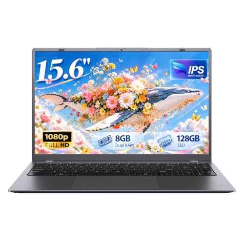 EvoSpan 15.6 Laptop