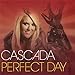 Perfect Day