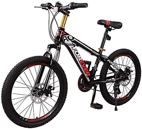 22 frame mountain bike