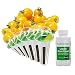 AeroGarden Golden Cherry Tomato Seed Pod Kit primary