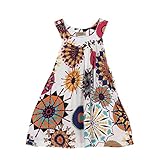 Girl Dress,Haoricu New Toddler Baby Girls Summer Flower Princess Wedding Party Dress (2T, White)