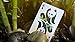 Bicycle Panda Playing Cards