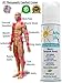 Active Life Natural Pain Relief - 5 oz Cream. All Natural Relief for Joint Pain, Muscle Soreness and Skin Irritations.