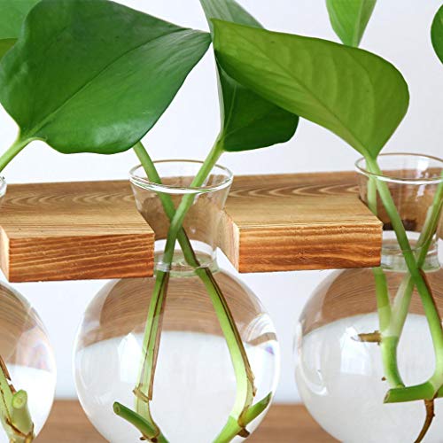 B Blesiya Wooden Shelf Plant Stand Ladder Storage Indoor Outdoor Garden Display Flower Pot Planter Supports Holder Rack 6cm - 3 Vase