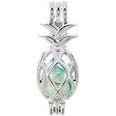 Vie jeune 10pcs Silver Pearl Cage Locket Pendants, Essential Oil Diffuser DIY Necklace Bracelet Jewelry Making Craft, Bulk Beads Aromatherapy Diffuser Charms Gifts for Women Girls