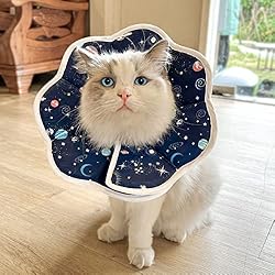 ComSaf Soft Cat Recovery Collar, Protective