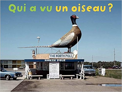 RÃ©sultat de recherche d'images pour "Qui a vu un oiseau ?"