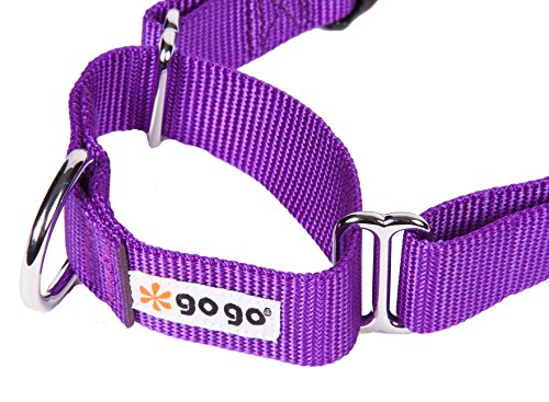 GoGo Pet Products GoGo 3/4-Inch Martingale Dog Collar, Medium, Purple