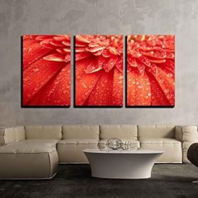 3 Piece Canvas Wall Art - Red Daisy-Gerbera with Waterdrops - Modern Home Art Stretched and Framed Ready to Hang - 16"x24"x3 Panels