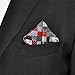 Shlax&Wing Checked Gray Grey Silver Red Crimson Handkerchief Mens Ties
