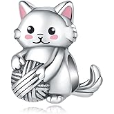 ARVALILS 925 Sterling Silver Charms fits Bracelets and Necklace Pendant Bead Charms Jewelry Gift for Women Family Friends