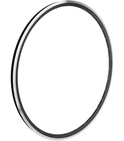 Amazon.com : DT Swiss R 460 Rim - 700, Disc, Black, 32H : Sports