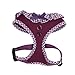 Authentic Puppia Vivien Harness, Purple, Medium