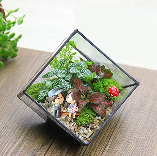 Kimdio Geometric Terrarium Clear Glass Tabletop Planter Air Plant Holder Display for Succulent Fern Moss Air Plants Holder Miniature Outdoor Fairy Garden DIY Gift (Black-M)