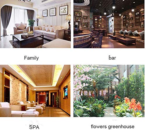 Digital Programable Termostato Inalámbrico Digital Enchufe Control,Programable y Toma de Corriente de Control de Temperatura(EU Blanco)