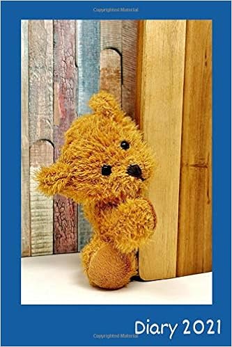 peek a boo teddy bear amazon