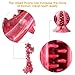 Dog Chew Toys, 2 Pcs Pet Chew Toys for Aggressive Chewers, Durable Teeth Cleaning Toys Dog Toothbrush Stick, Dog Toothbrush Bone Chew Toys for Playing, Throwing, Chasing, Biting, Training Teething Toy