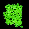 Soft-Glow-In-The-Dark-Fishing-Beads-38×58-50-Pieces-Green