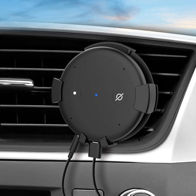 use echo input in car