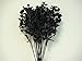 12 Sprays BLACK Double Ruffle Baby Breath Artificial Silk Flowers 828KB