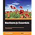 Backbone.js Essentials