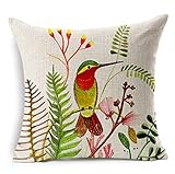 Flatworld Throw Pillow Case Decorative Natural Birds Covers (Hummingbird)