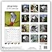 African Grey Calendar - African Grey Parrot Calendar - Parrot Calendar - Calendars 2017 - 2018 Wall Calendars - Bird Calendars - Monthly Wall Calendar by Avonside