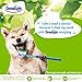 Dog Dental Green Chews by “Good Idea”: Dog Dental Treats In 3 Variations | CleanS Teeth, Fights Tartar Buildup & Plaque | Natural with Added Prebiotics, Vitamins & Minerals 500gr. (Medium 12-16 kg.)