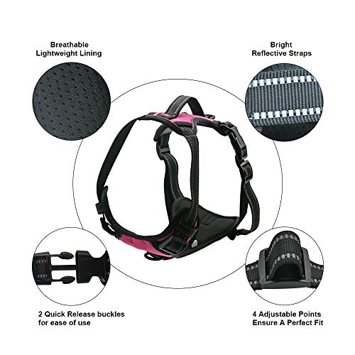 Dog Harness No Pull Dog Vest with Leash Adjustable & Reflective Pet Vest Harnesses and Leash Easy Control for Small Medium Large Dogs (Small, Pink) - Thumbnail 2