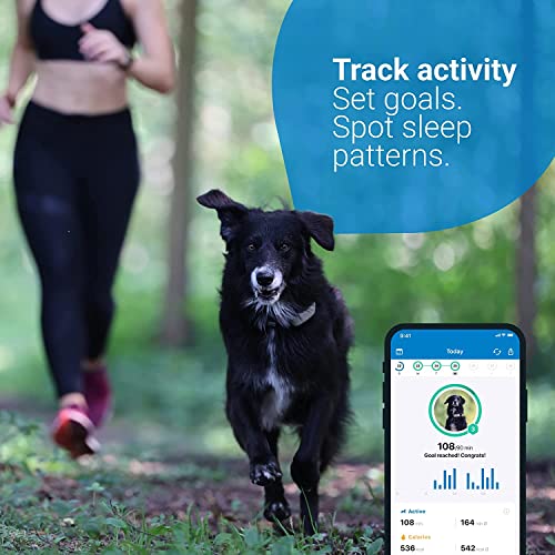 Tractive GPS Pet Tracker for Dogs Waterproof, GPS Location & Smart