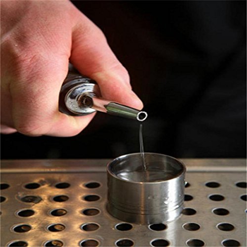 Botrong Liquor Spirit Pourer Flow Wine Bottle Pour Spout Stopper Stainless Steel Cap (C)