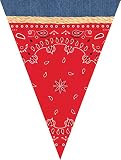Creative Converting 297492 Banner, One size, Bandanarama
