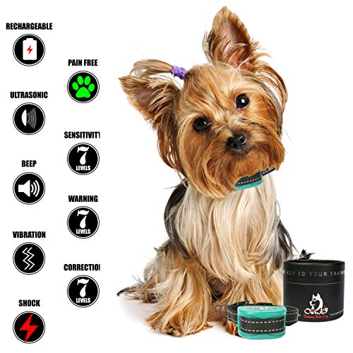 Our K9 Training Made Easy – Bark Collar  for  Small Dogs –  Adjustable Shock & Vibration,  Pain Free  Bark Control